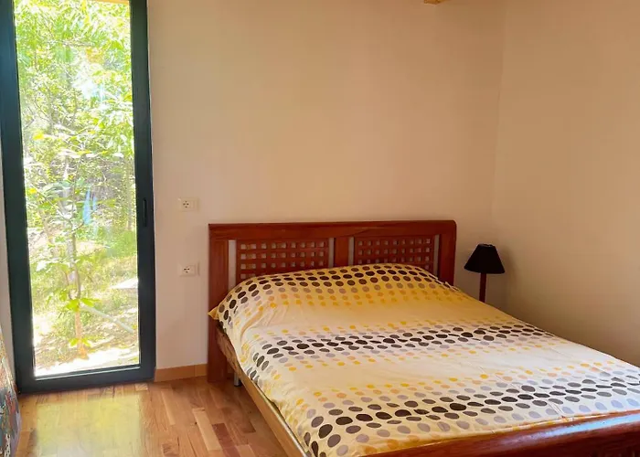 Willa Ela - Cape Of Rodon *